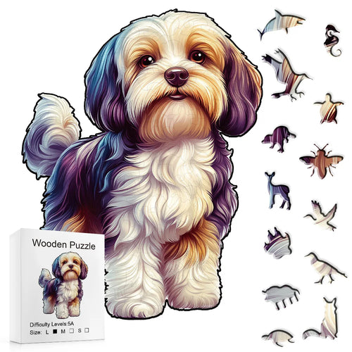 cachorro Shih Tzu